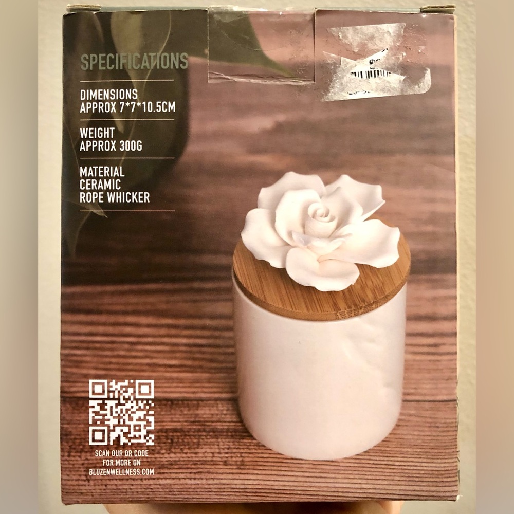 NEW Bluzen Succulent Stone Premium Oil Diffuser with Eucalyptus Essential Oil
